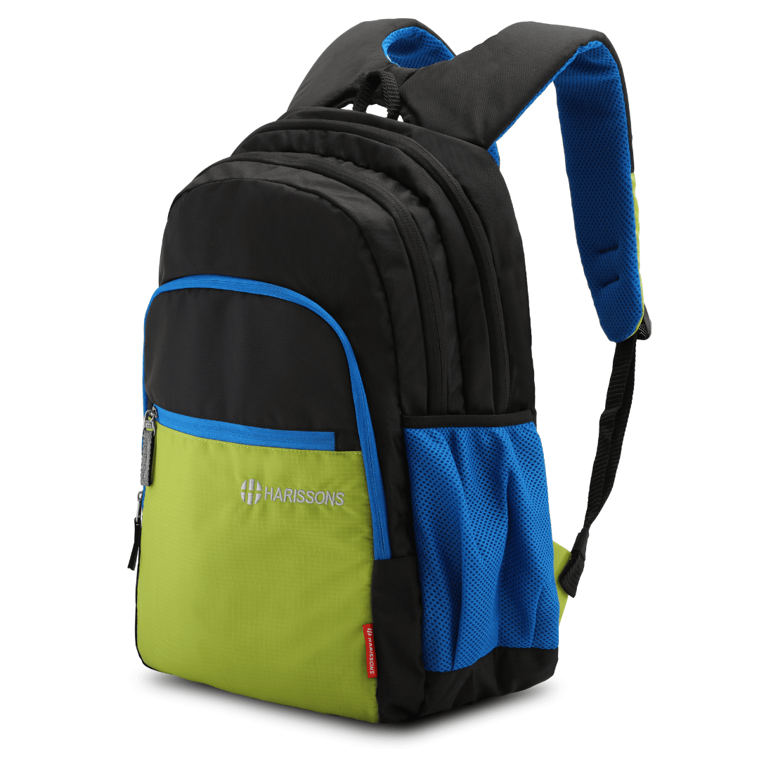 BRAVO DX - Casual Laptop Backpack