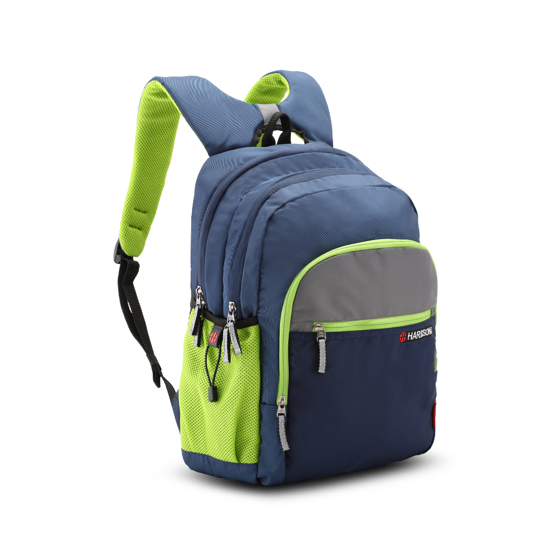 BRAVO DX - Casual Laptop Backpack Harissons