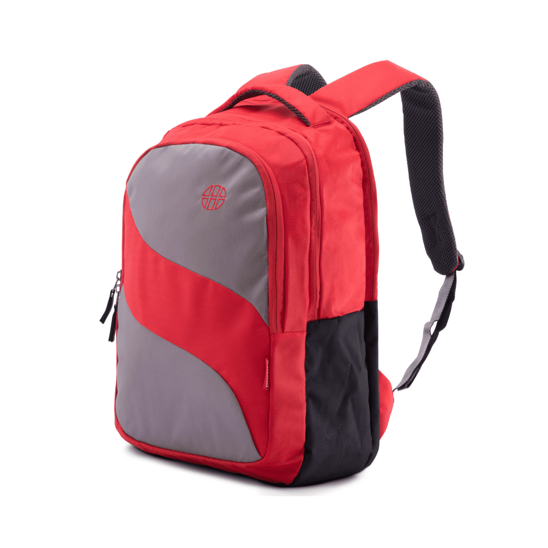 SUPERB - Casual Laptop Backpack Harissons