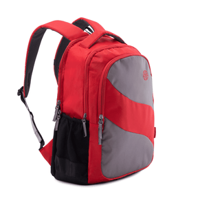SUPERB - Casual Laptop Backpack Harissons