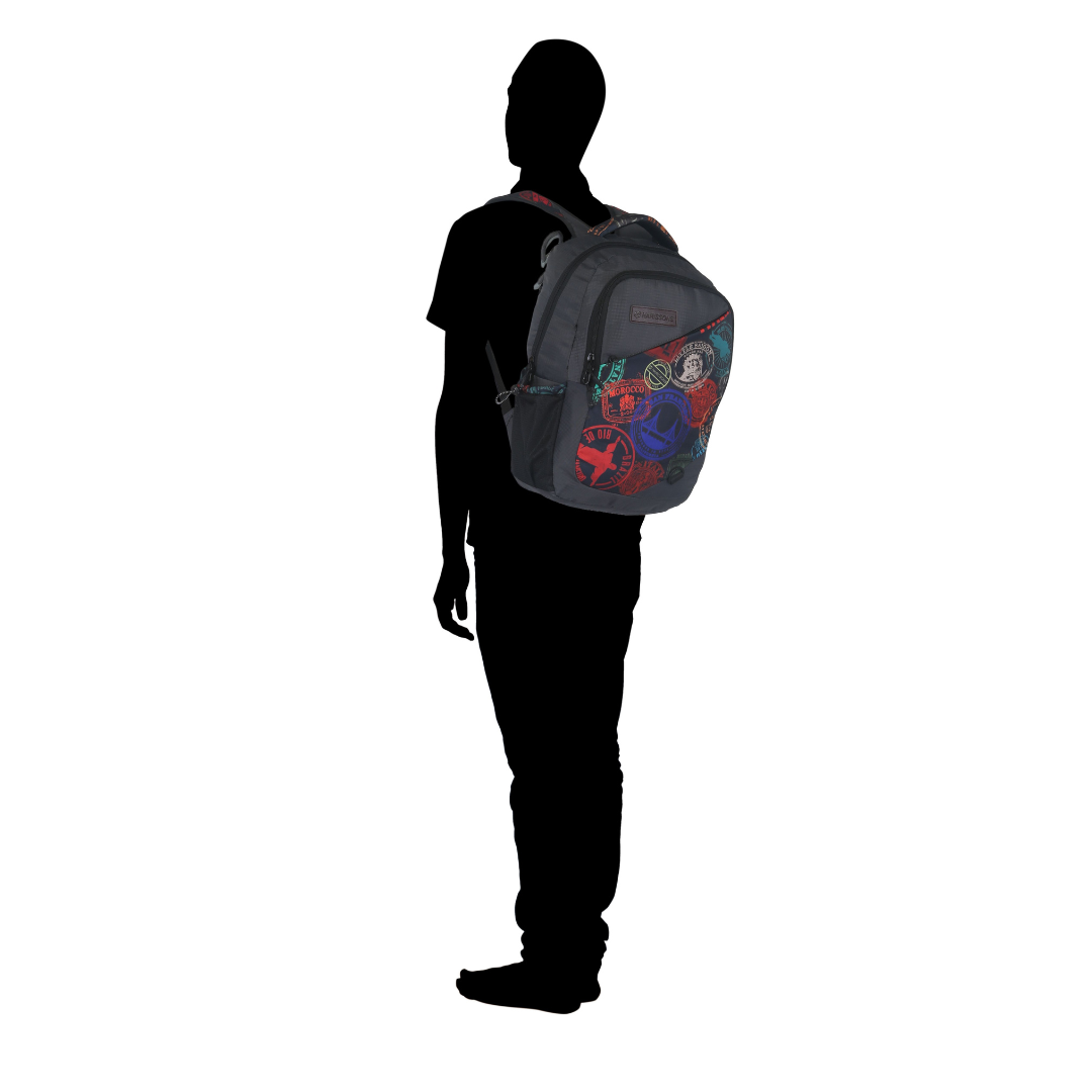 NOMAD BACKPACK Casual Backpack with 22 Ltrs. Harissons