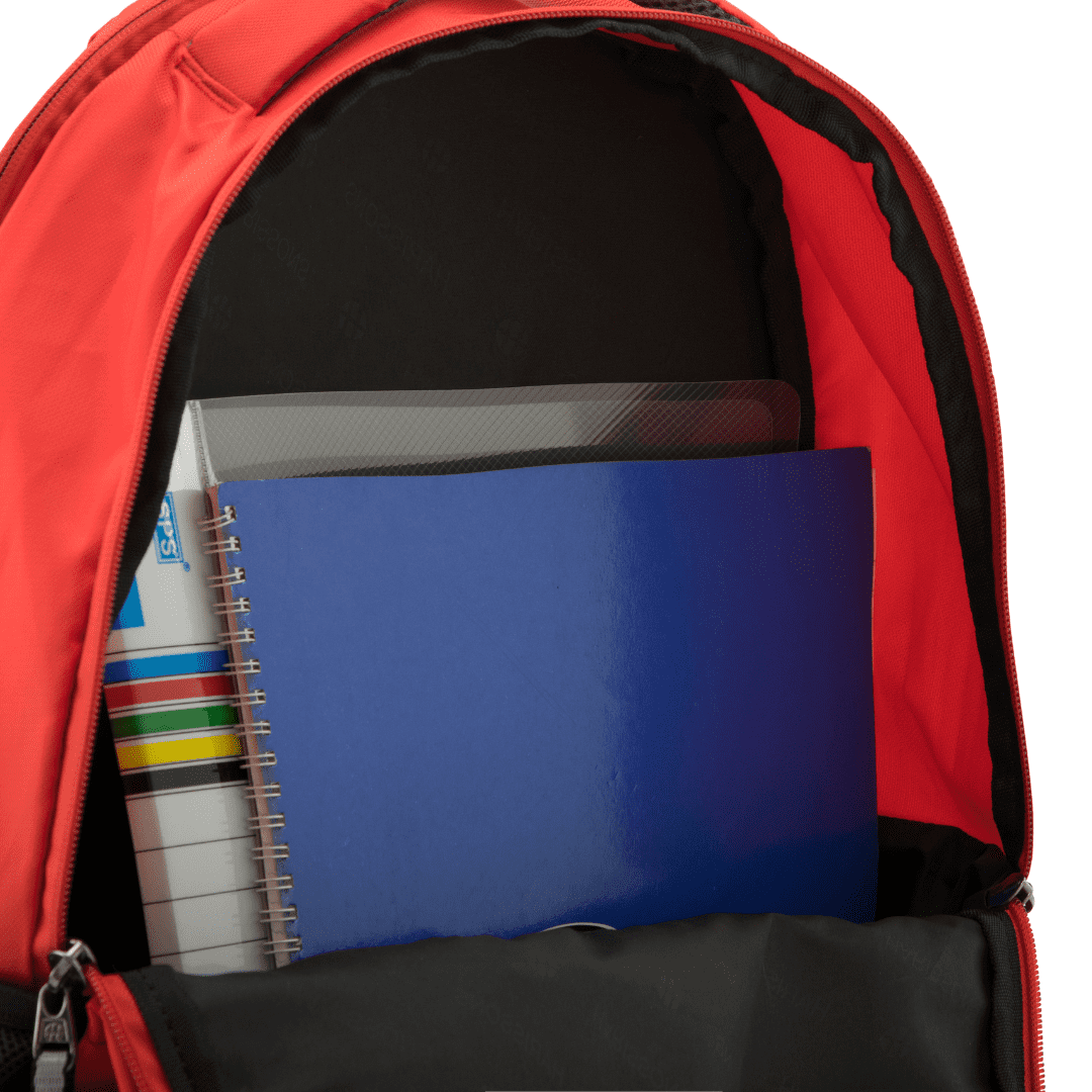 SUPERB - Casual Laptop Backpack Harissons